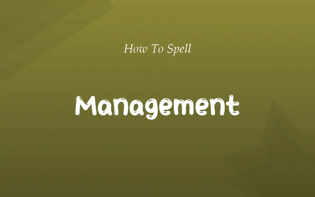 Managment or Management